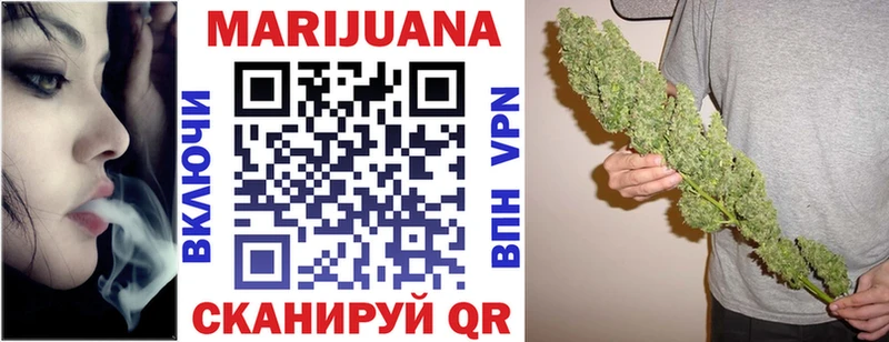 как найти наркотики  Шагонар  Конопля ГИДРОПОН 